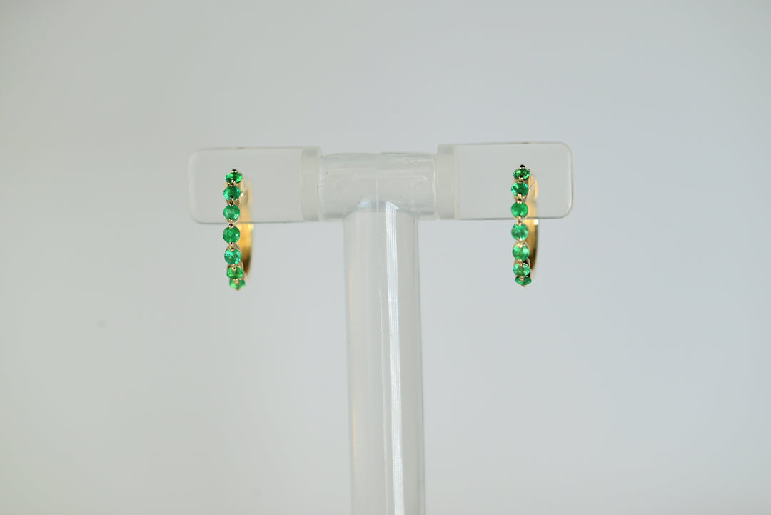 Colored Stone Earring