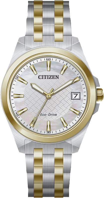 Two-Tone Stainless Steel Women's Citizen Eco-Drive Gray Face Watch