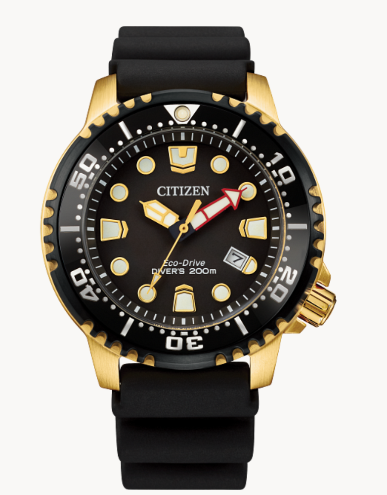Gold Toned- Stainless Steel Men's Citizen Eco-Drive Black Face Watch