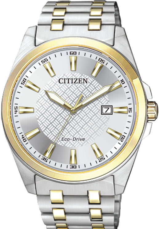 Stainless Steel Two-Toned Men's Citizen Eco-Drive Silver Face Watch