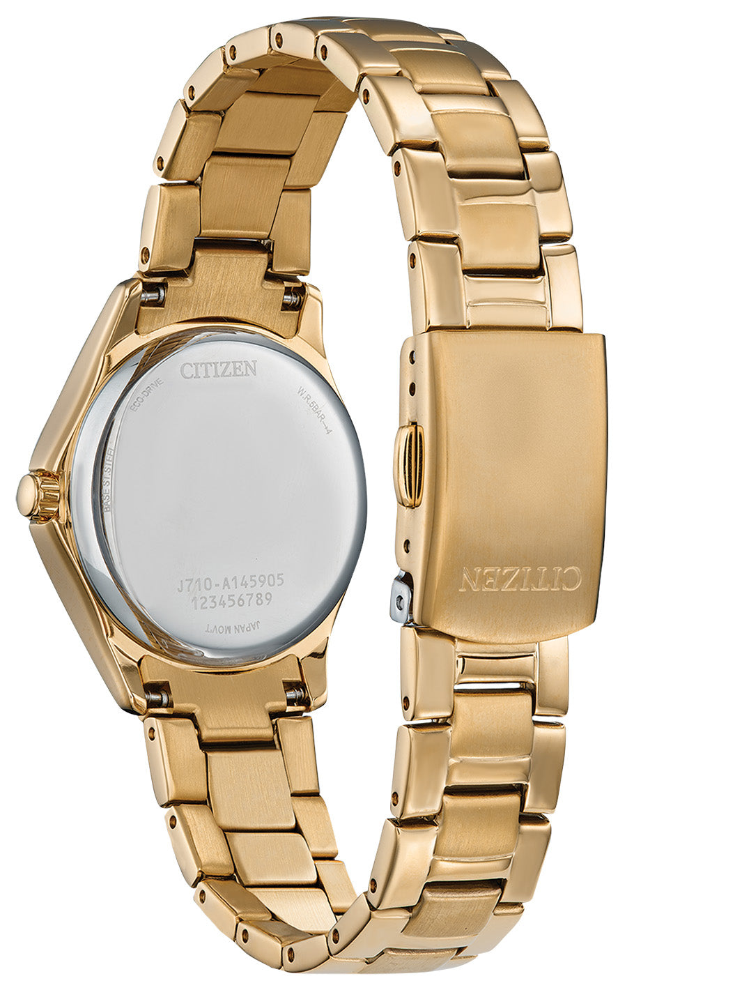 Women's Eco-Drive Watch