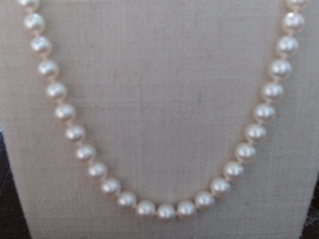 Pearl Necklace